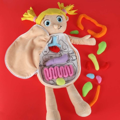 Lalka maskotka nauka anatomii dziewczynka