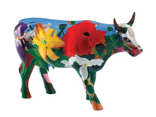 CowParade Wisconsin 2006, Georgia O'Kowffe, autor: Donna McKay.